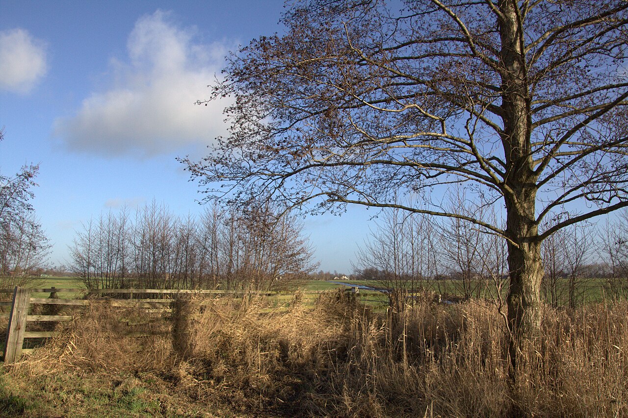 Wandelen door de middeleeuwen bij Wilnis