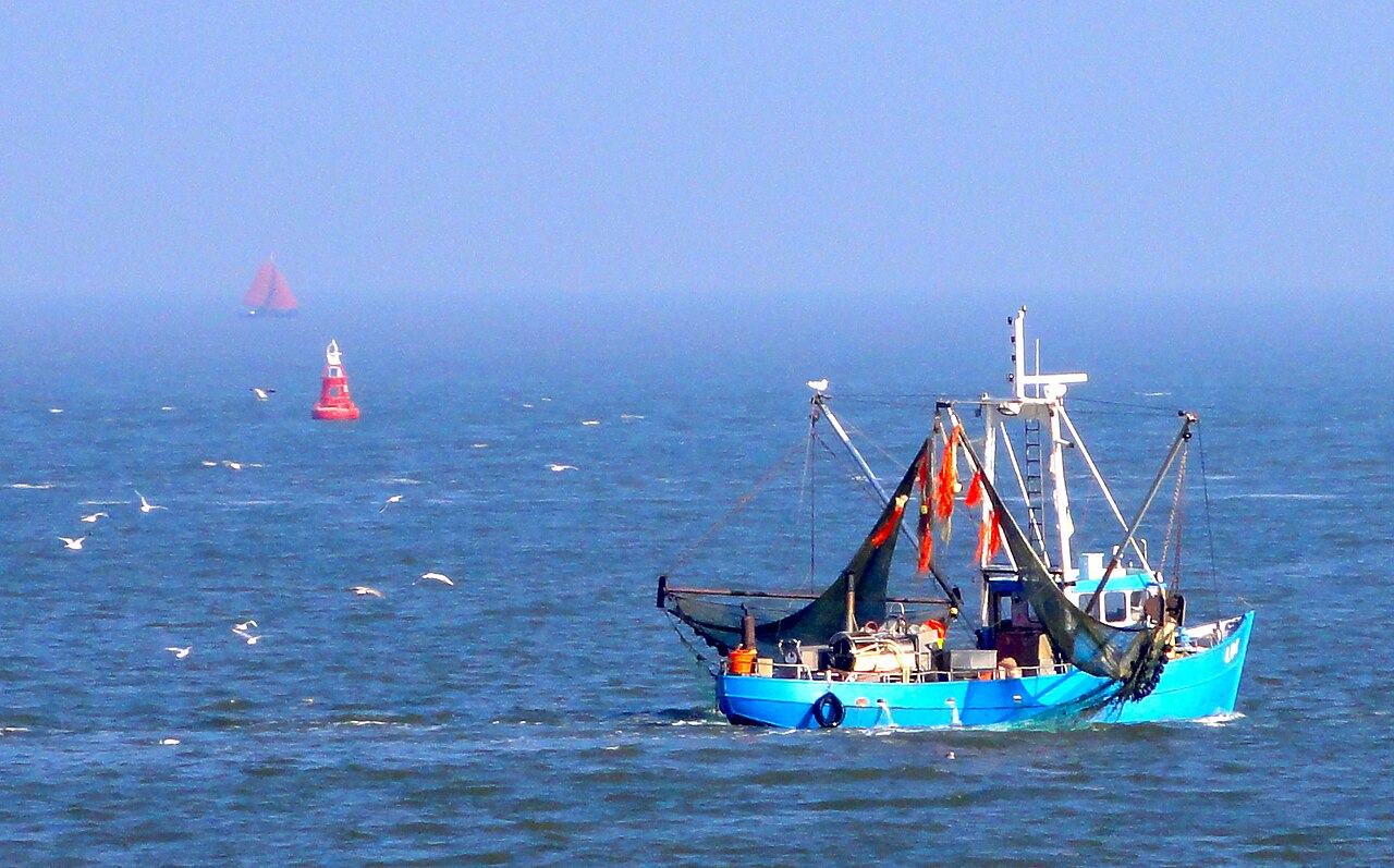 Wierum naar Hornhuizen - "Door de wind" · NederRandpad etappe 78