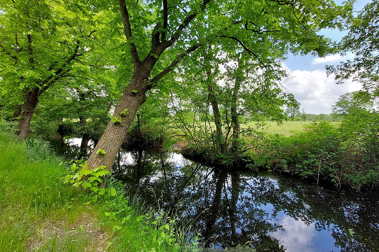 Surhuizum - Rottevalle · Noardlike Fryske Wâlden etappe 7