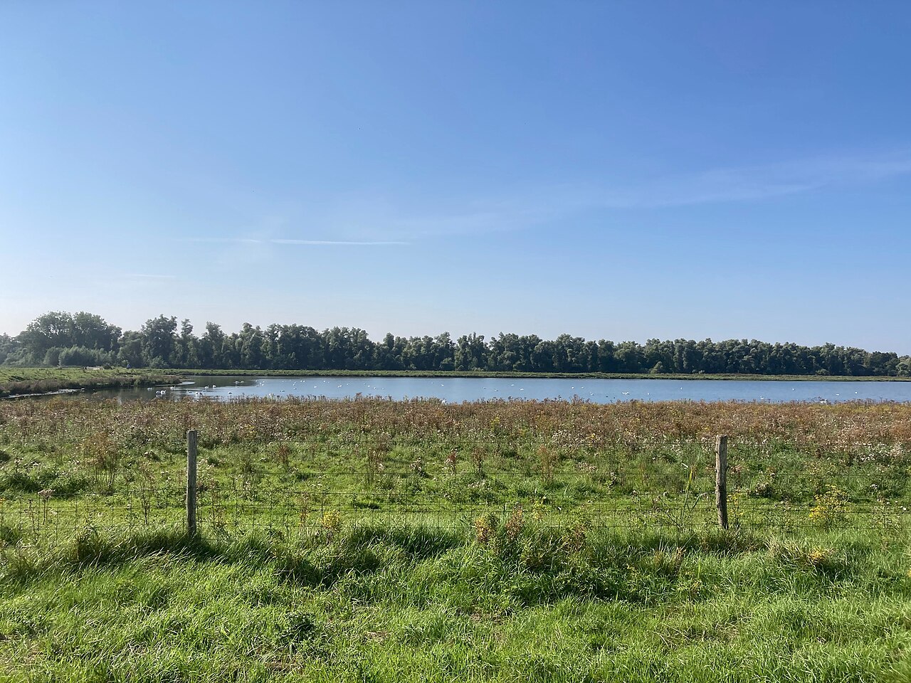 Boswachterspad Oeverlanden Hollands Diep