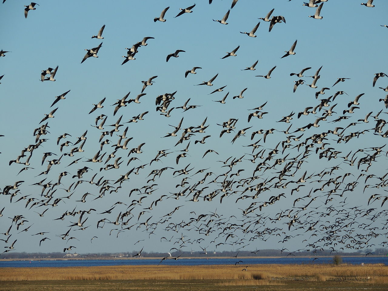 Rondje Anjum-Zuid · Bonifatius Kloosterpad etappe 15