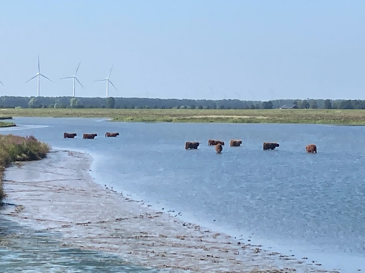 Dordrecht (Kiltunnel) - Numansdorp · Floris V-pad etappe 10
