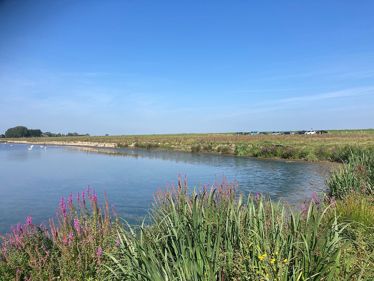 Dordrecht (Kiltunnel) - Numansdorp · Floris V-pad etappe 10