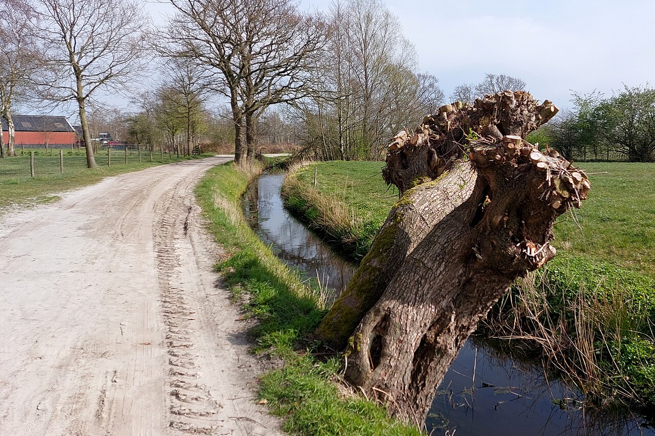 De Kooten - Surhuizum · Noardlike Fryske Wâlden etappe 6