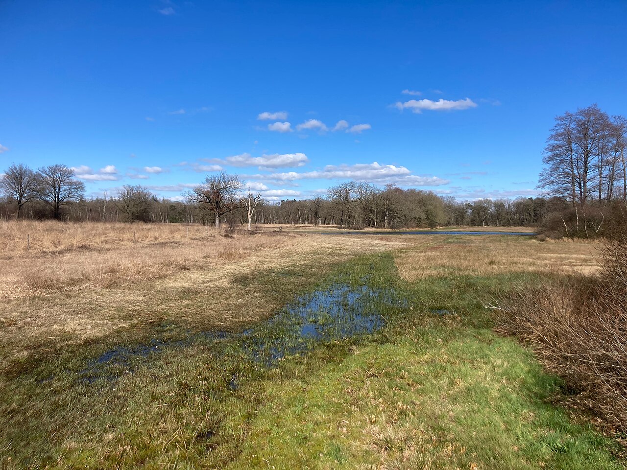 Poëzieroute Wijnjeterperschar