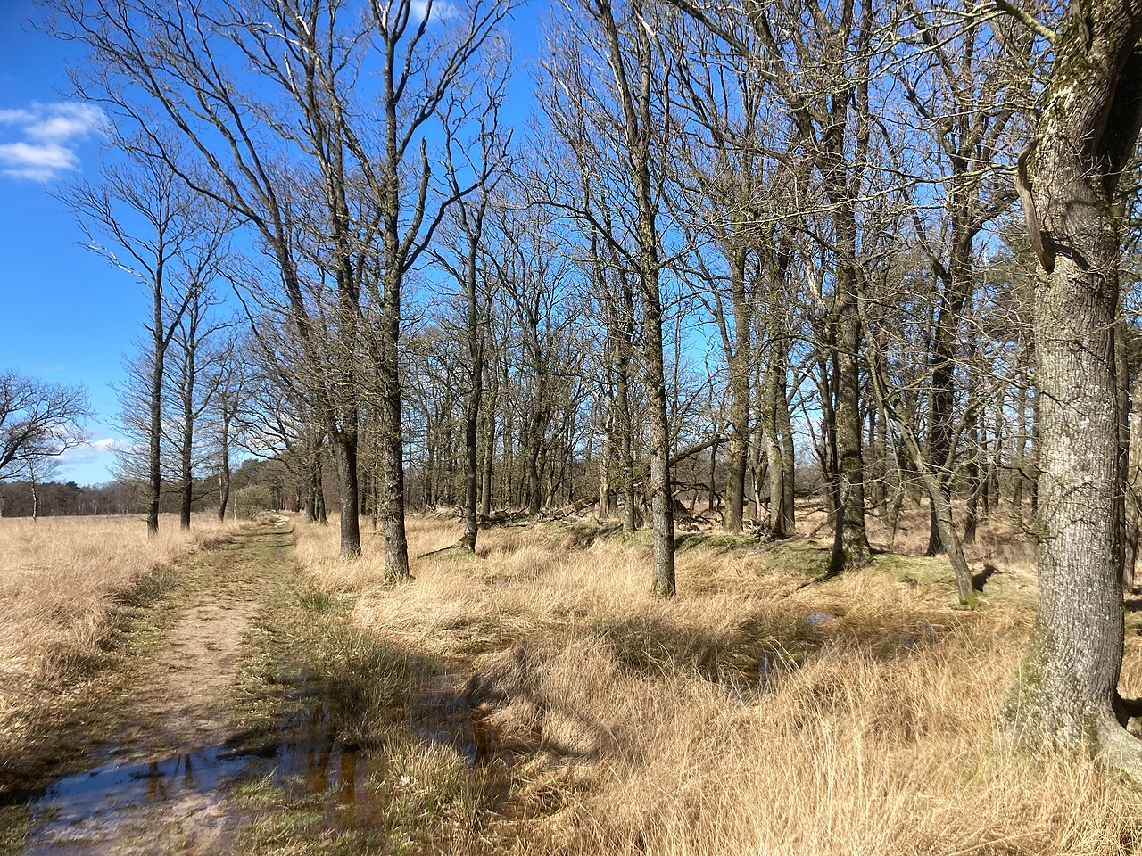 Poëzieroute Wijnjeterperschar