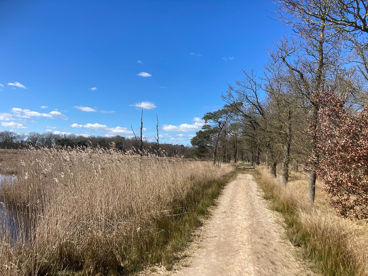 Poëzieroute Wijnjeterperschar