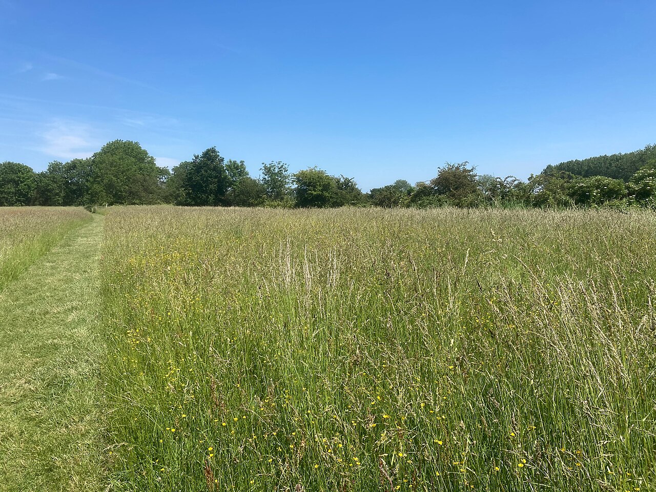 Bloemdijken in Zuid-Beveland