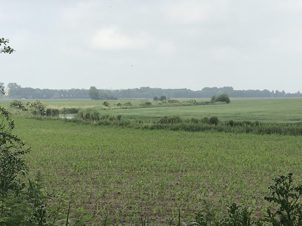 St. Kruis naar Sluis - "Op de Wallen" · NederRandpad etappe 54