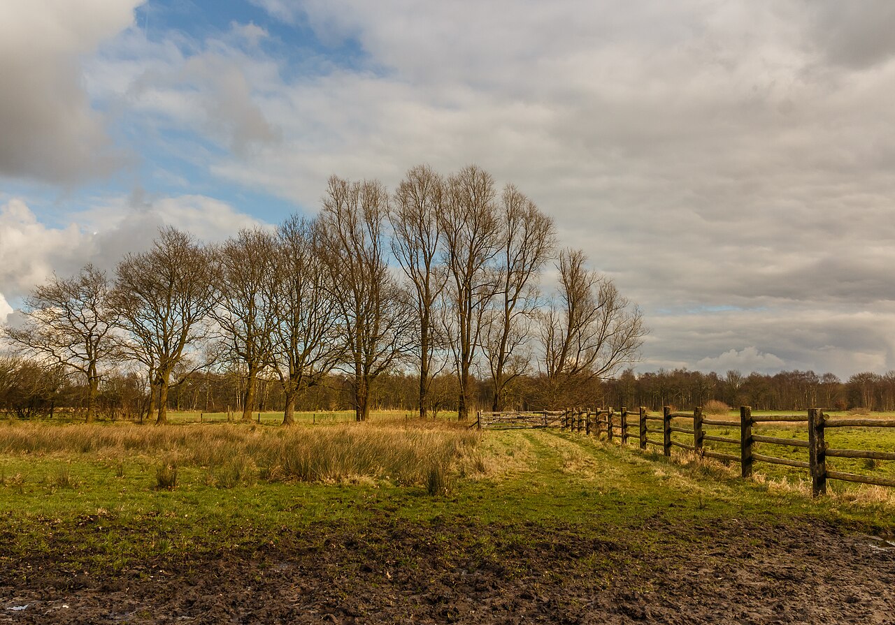 100 km van Appelscha