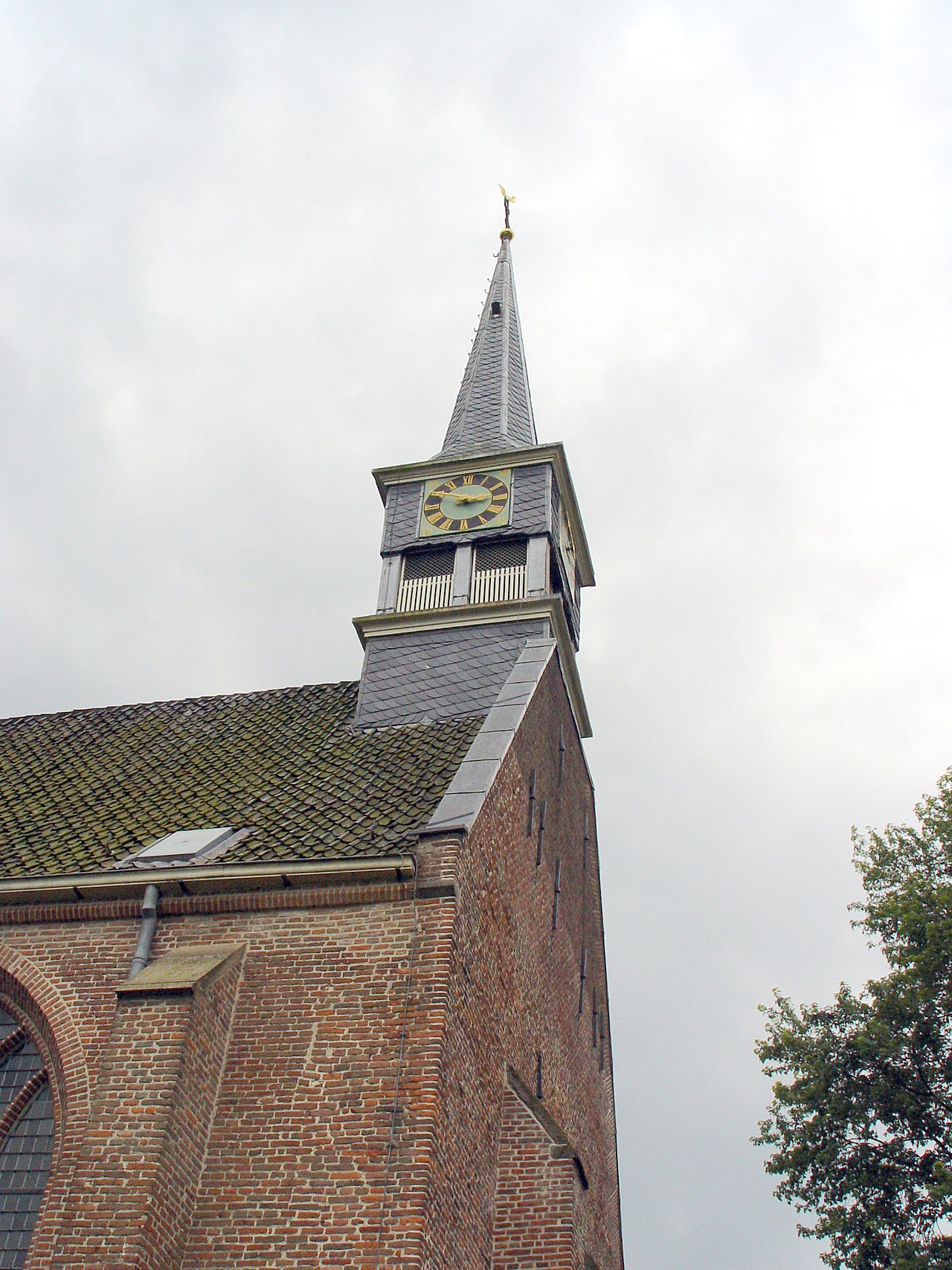 De Hoeve - Oldemarkt (voormalig Domelapad) · Friese Woudenpad etappe 15