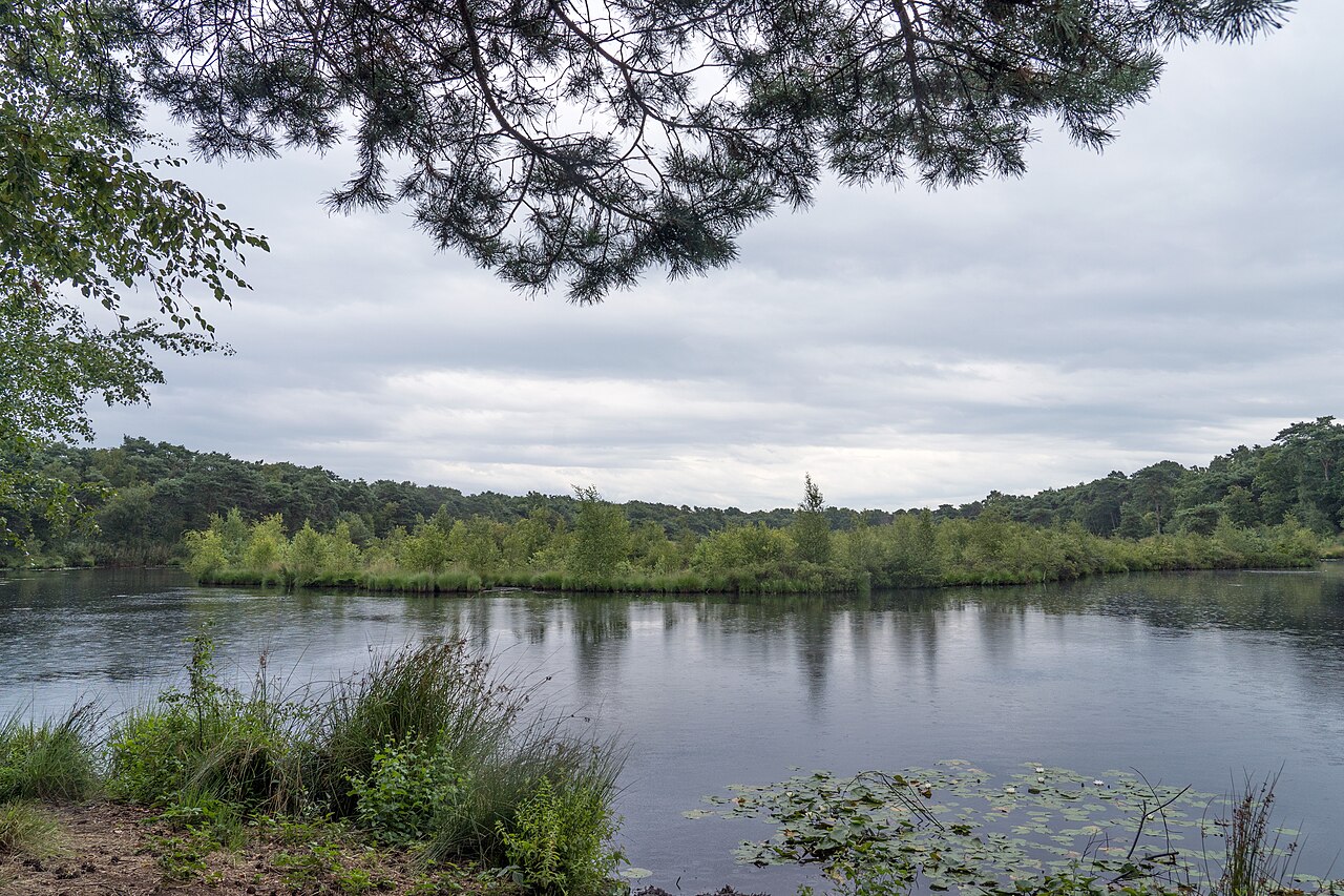 Ulicoten naar Zundert - "Klompenboom" · NederRandpad etappe 47