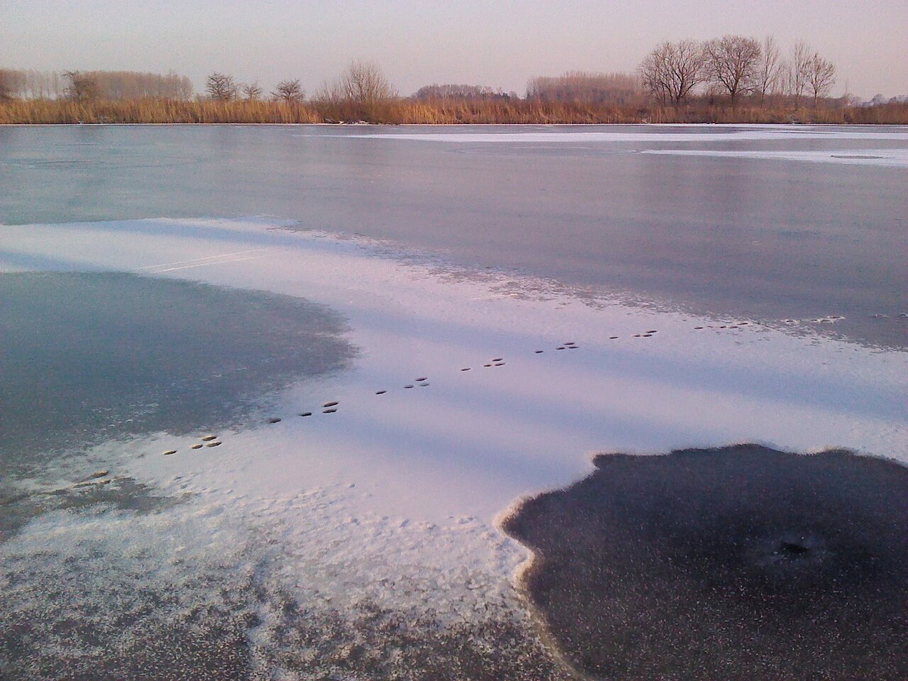 Pereboomsgat wandelroute