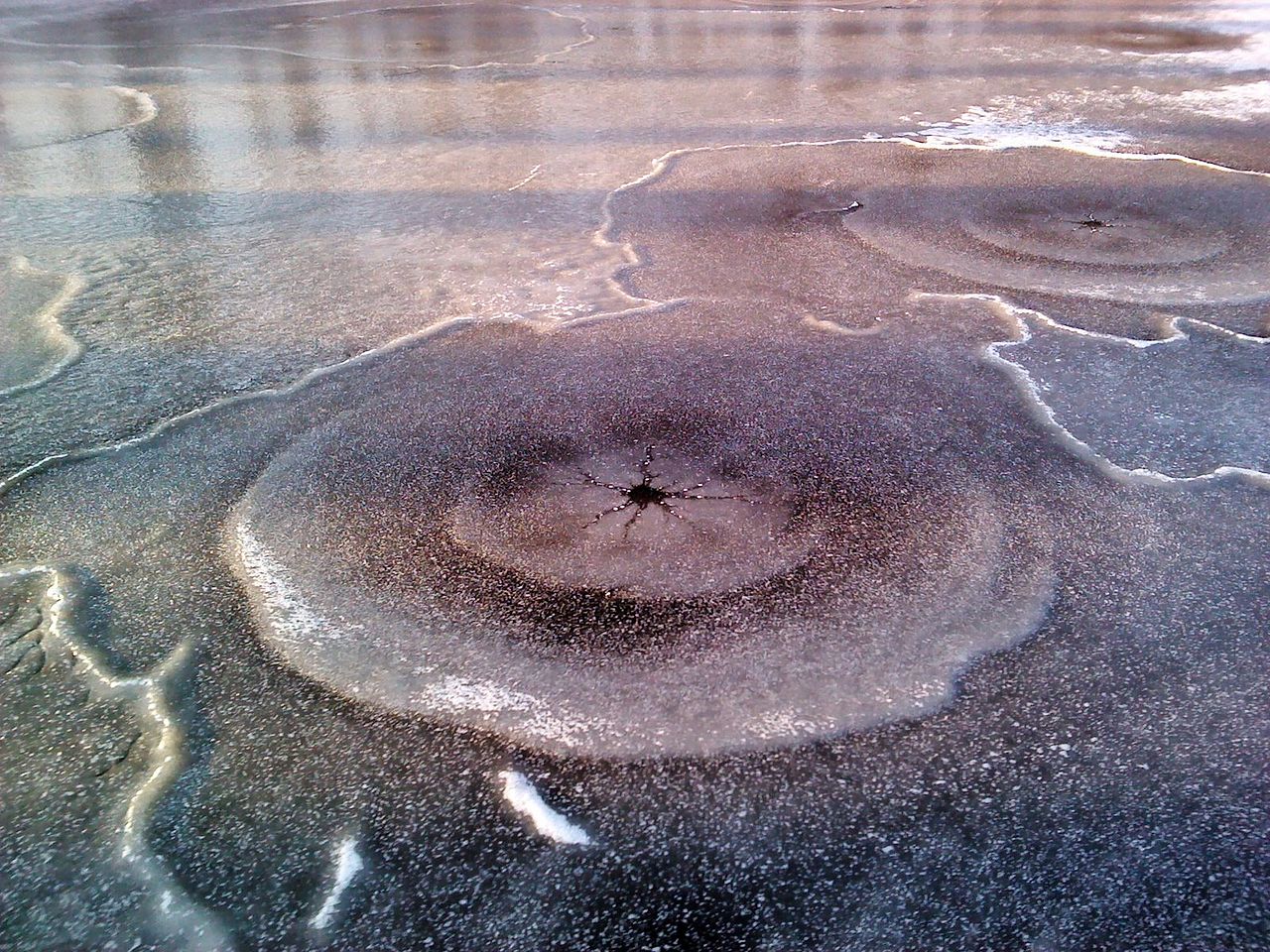 Variant 3 Zeeuws-Vlaanderen · Grenslandpad etappe 24