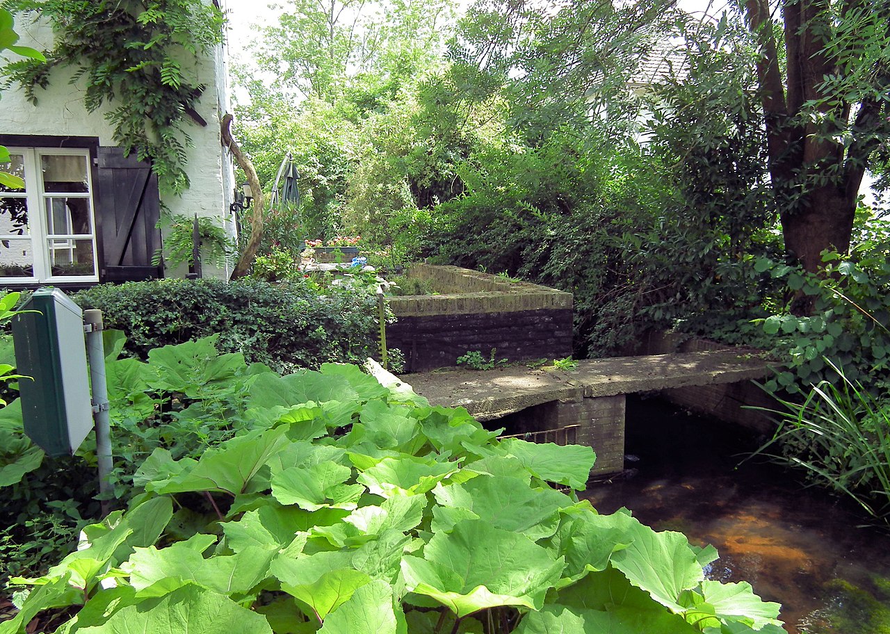 Koningssteen Kempenmaasland