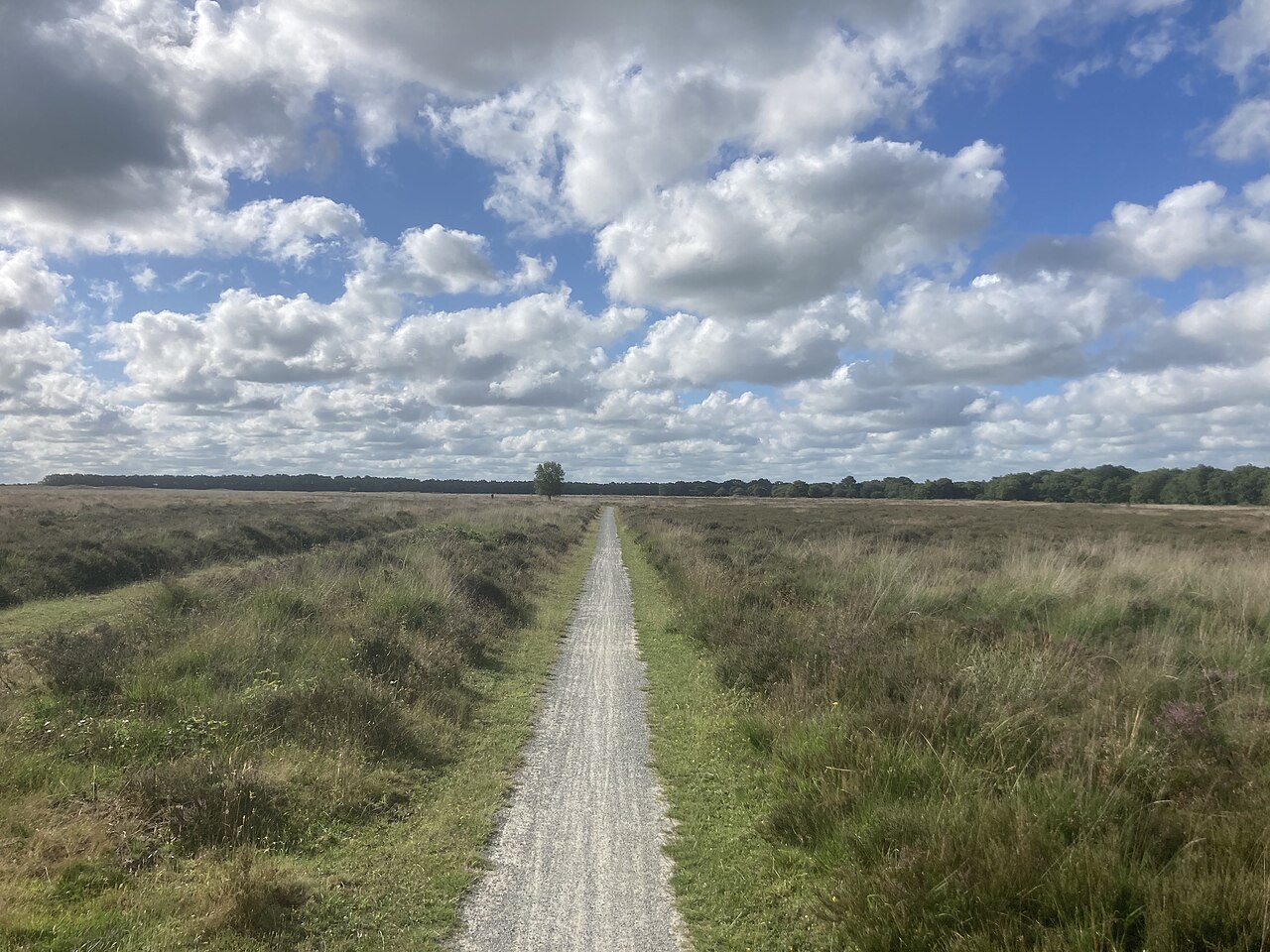 Altena - Vries · Jacobspad Uithuizen - Hasselt etappe 5