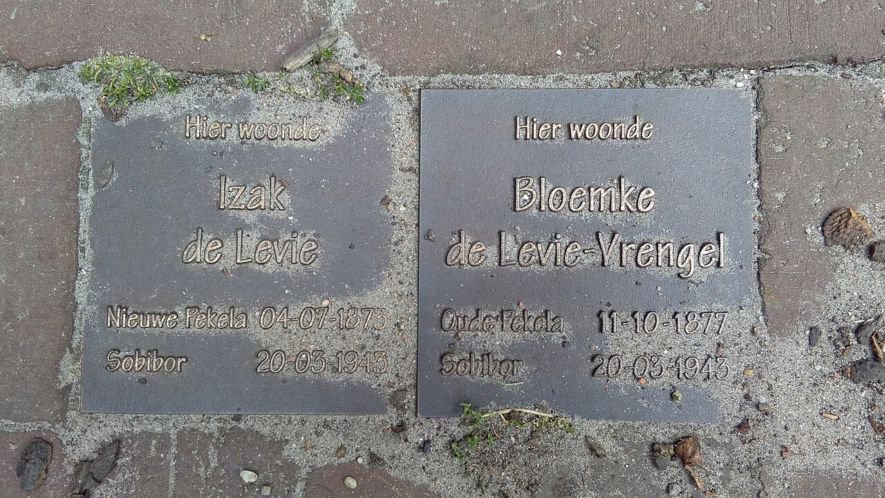 Drieborg naar Bellingwolde - "Verre schansen" · NederRandpad etappe 85