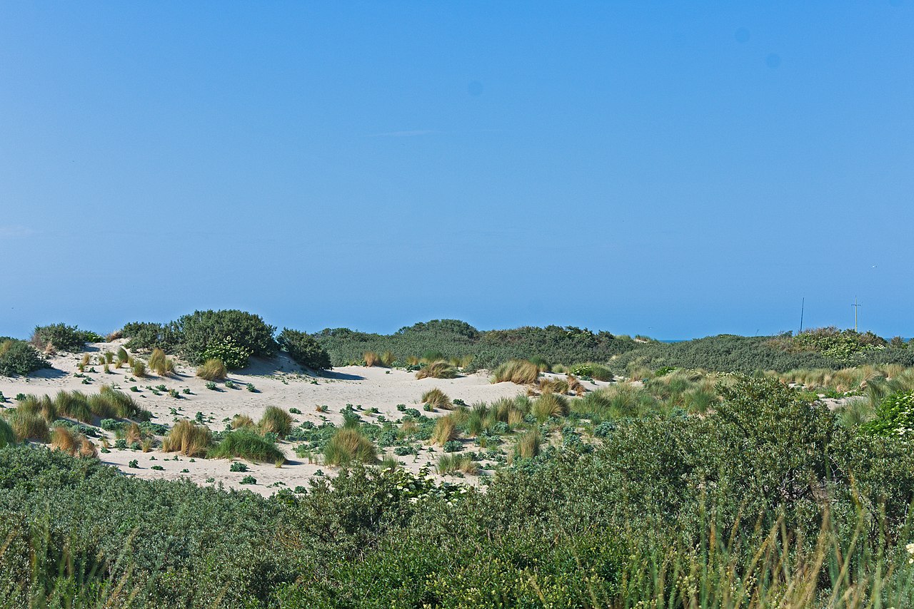 Solleveld & Kapittelduinen