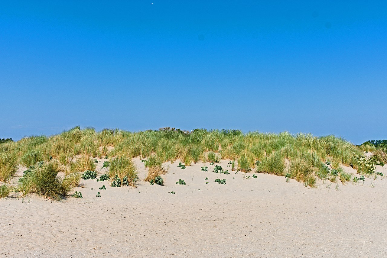 Solleveld & Kapittelduinen