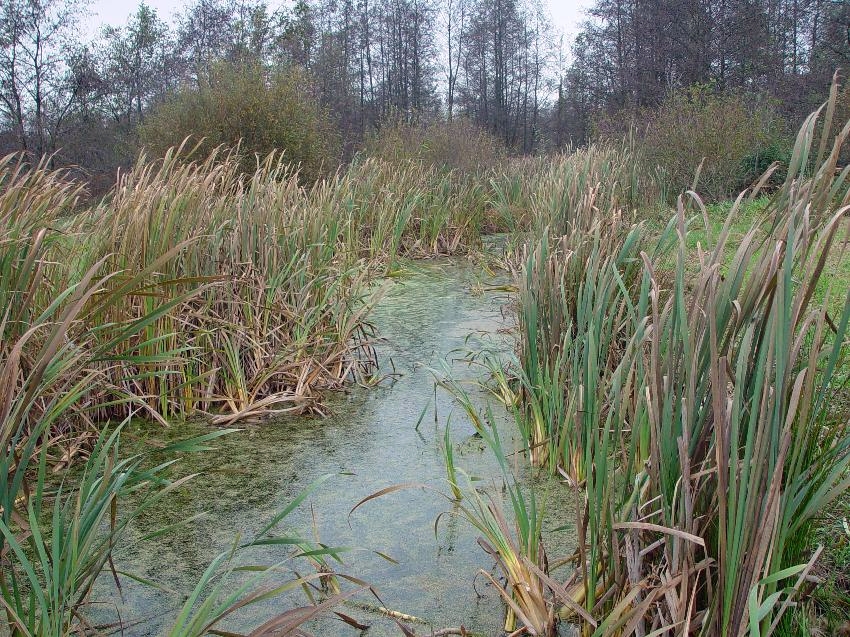 Krimpen ad IJssel - Bergambacht · Grote Rivierenpad etappe 6