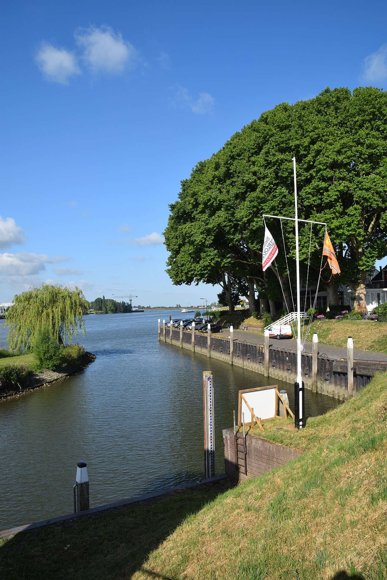 Loetbos - Schoonhoven