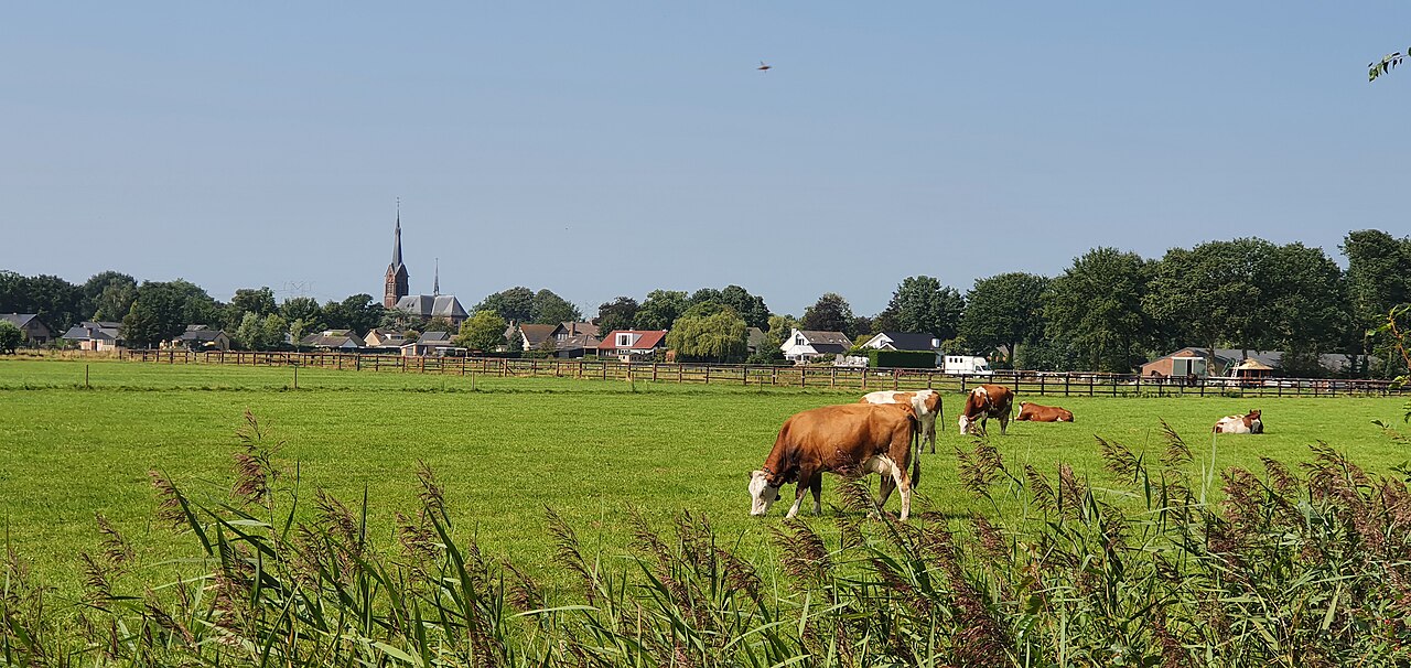 Dongen - De Efteling · Hertogenpad etappe 2
