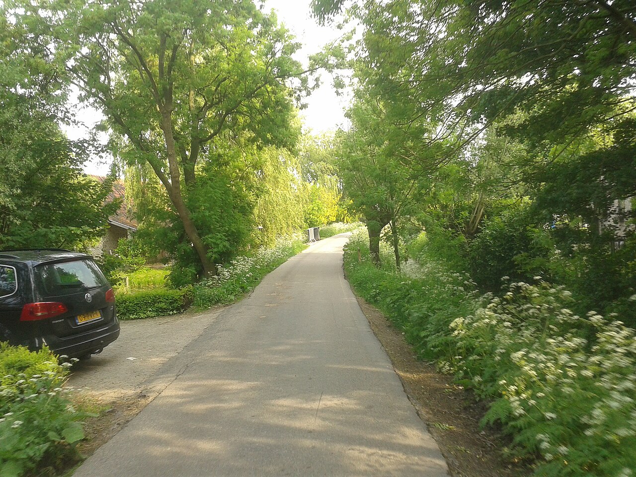 Schiedam Jeneverstad