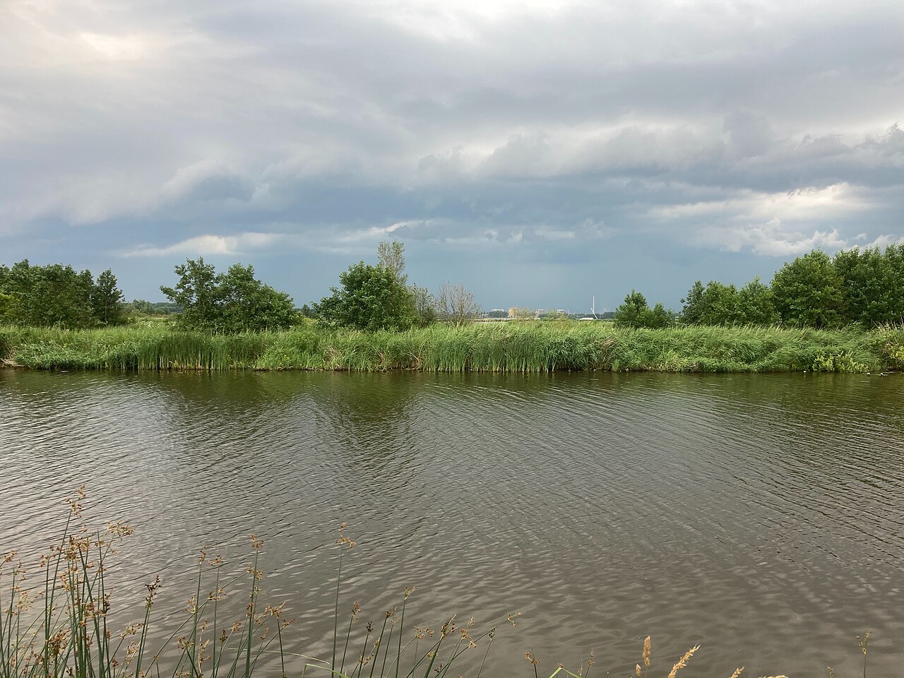 Wandelroute door de Vlietlanden, bij Vlaardingen en Maasland