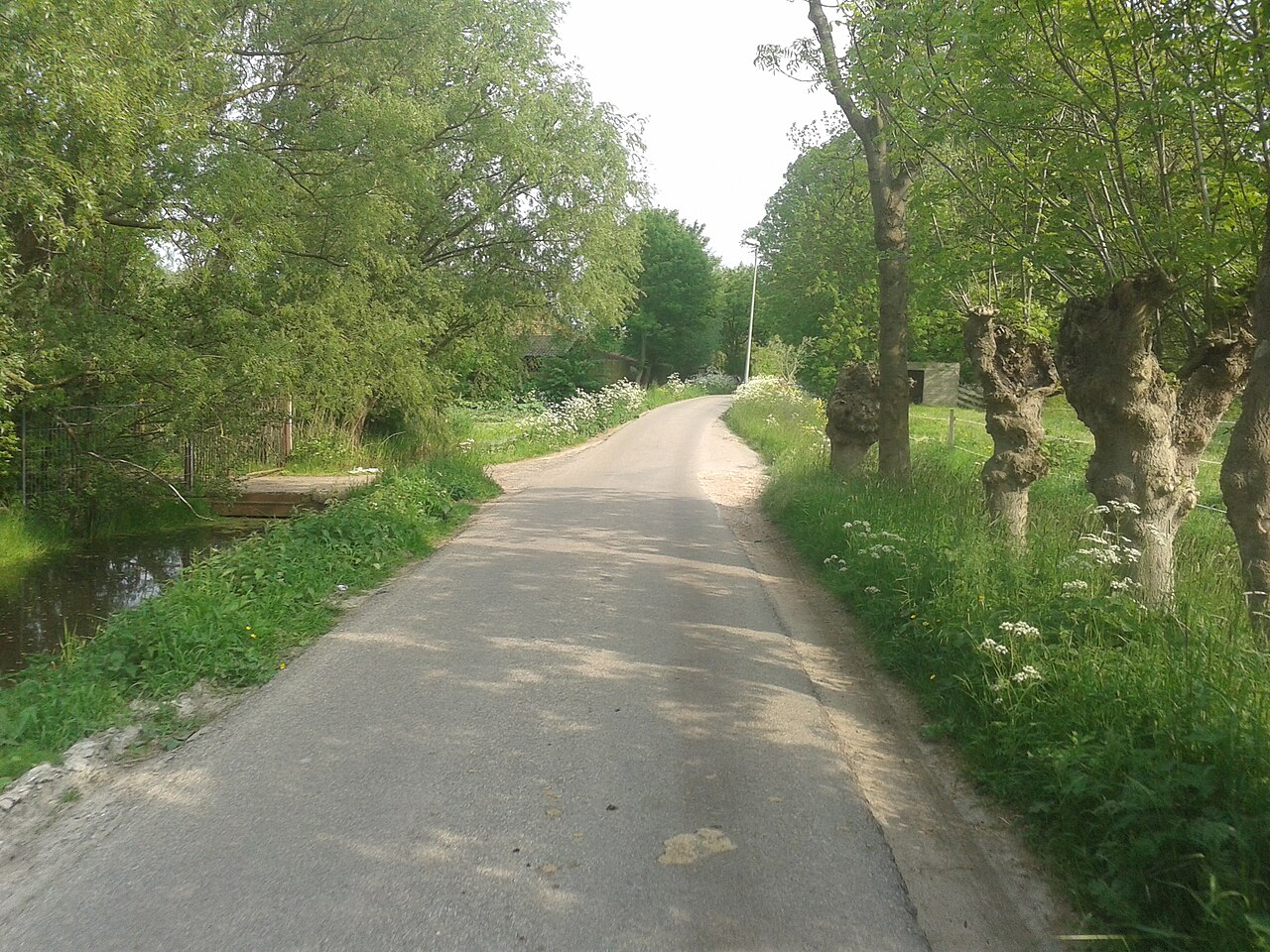 Schiedam Jeneverstad