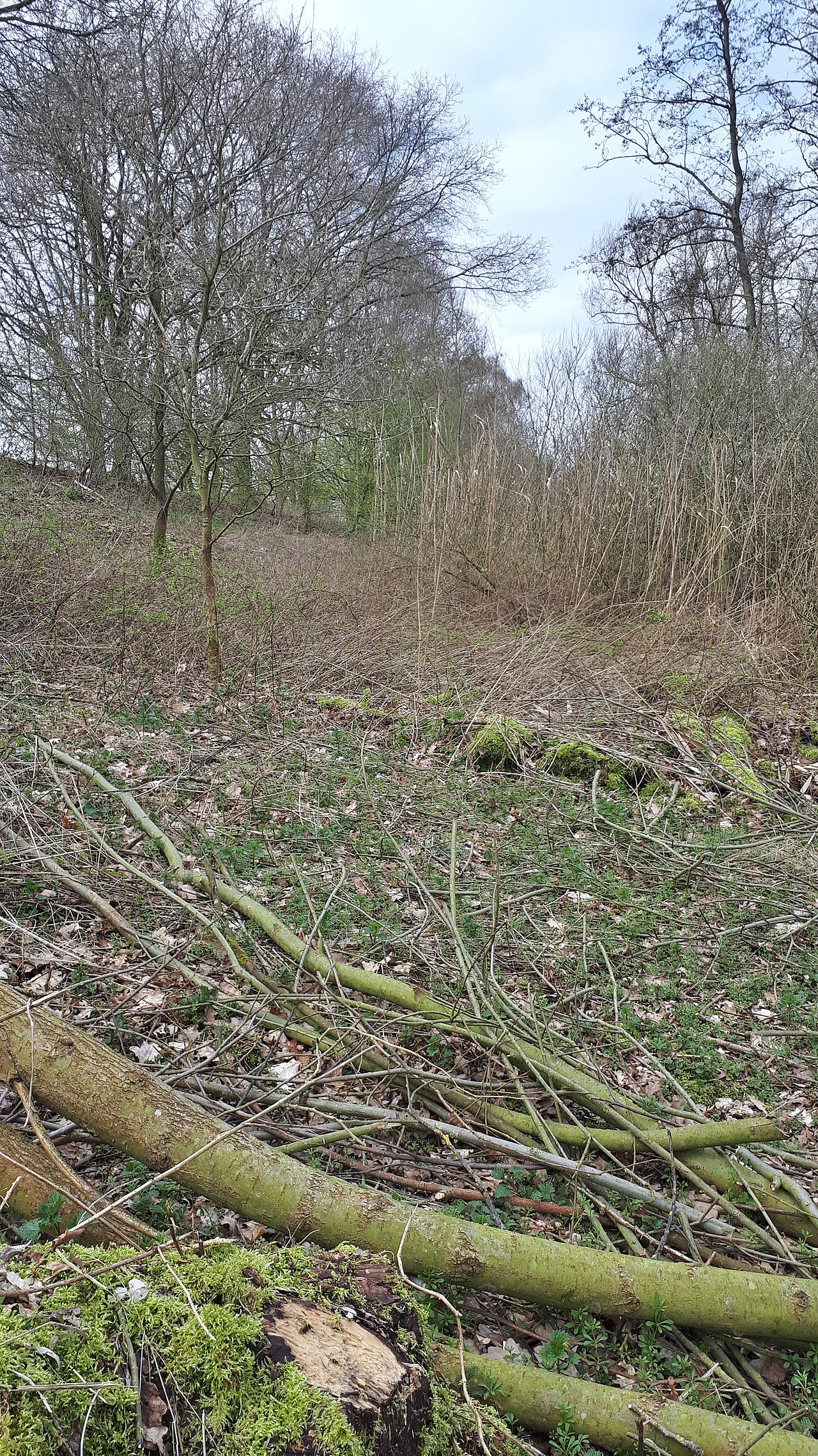 Wandelroute Gementroute Moerputten
