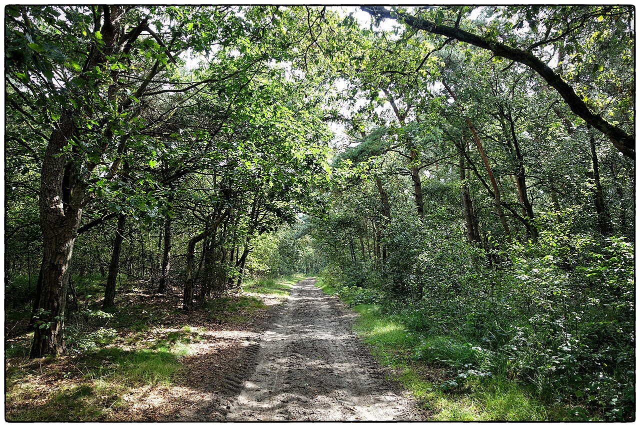 Over boeren, bos en bergen
