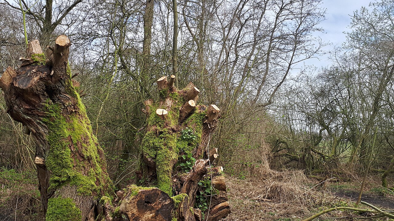 Wandelroute Gementroute Moerputten