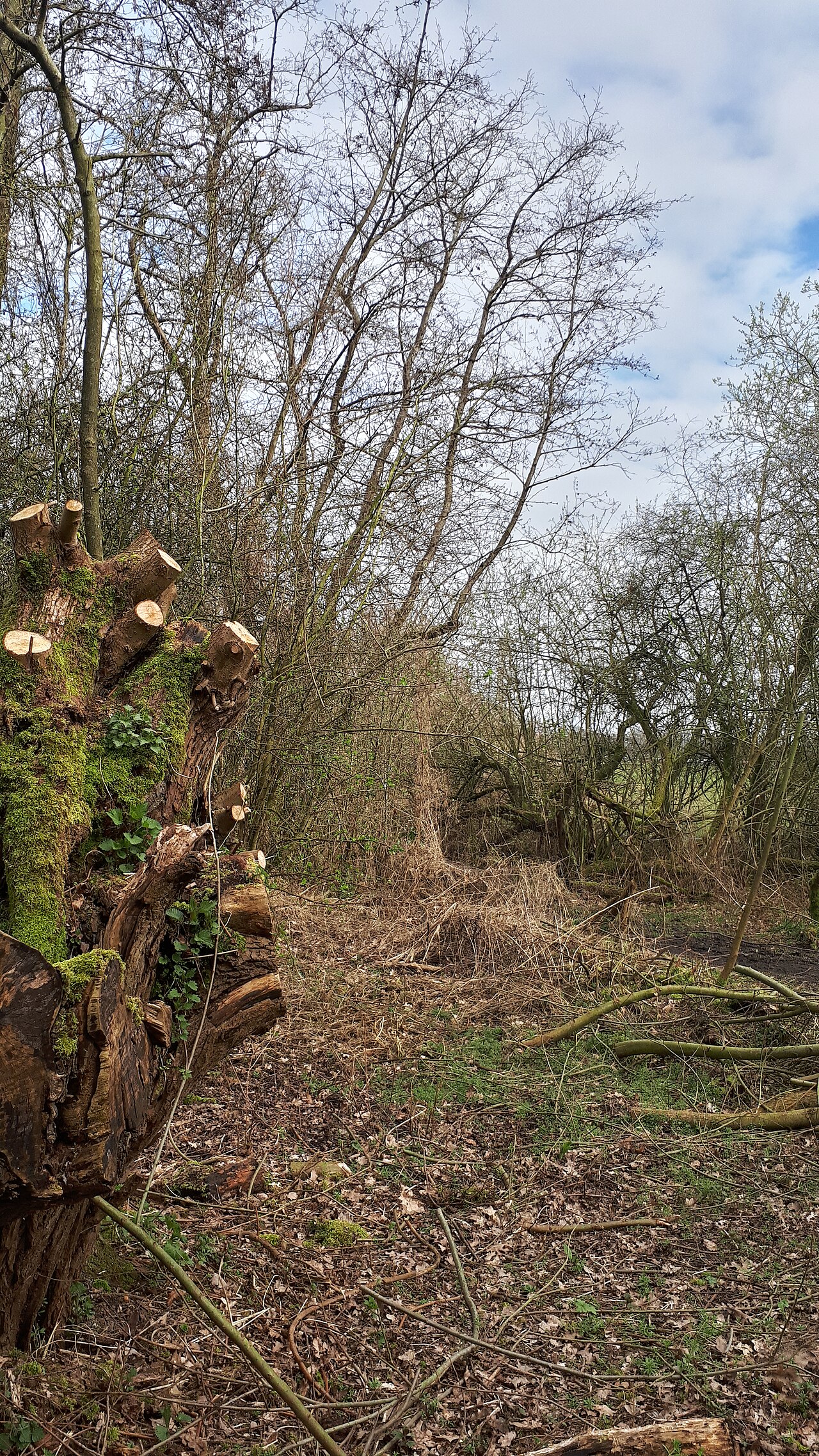 Wandelroute Gementroute Moerputten