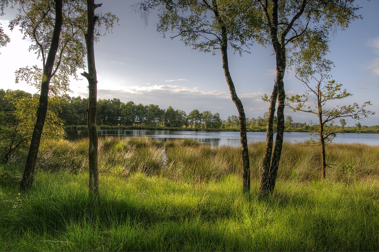 Mariapeel - Sevenum Schatberg · Petranpad etappe 6