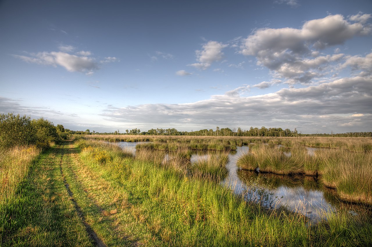 Mariapeel - Sevenum Schatberg · Petranpad etappe 6