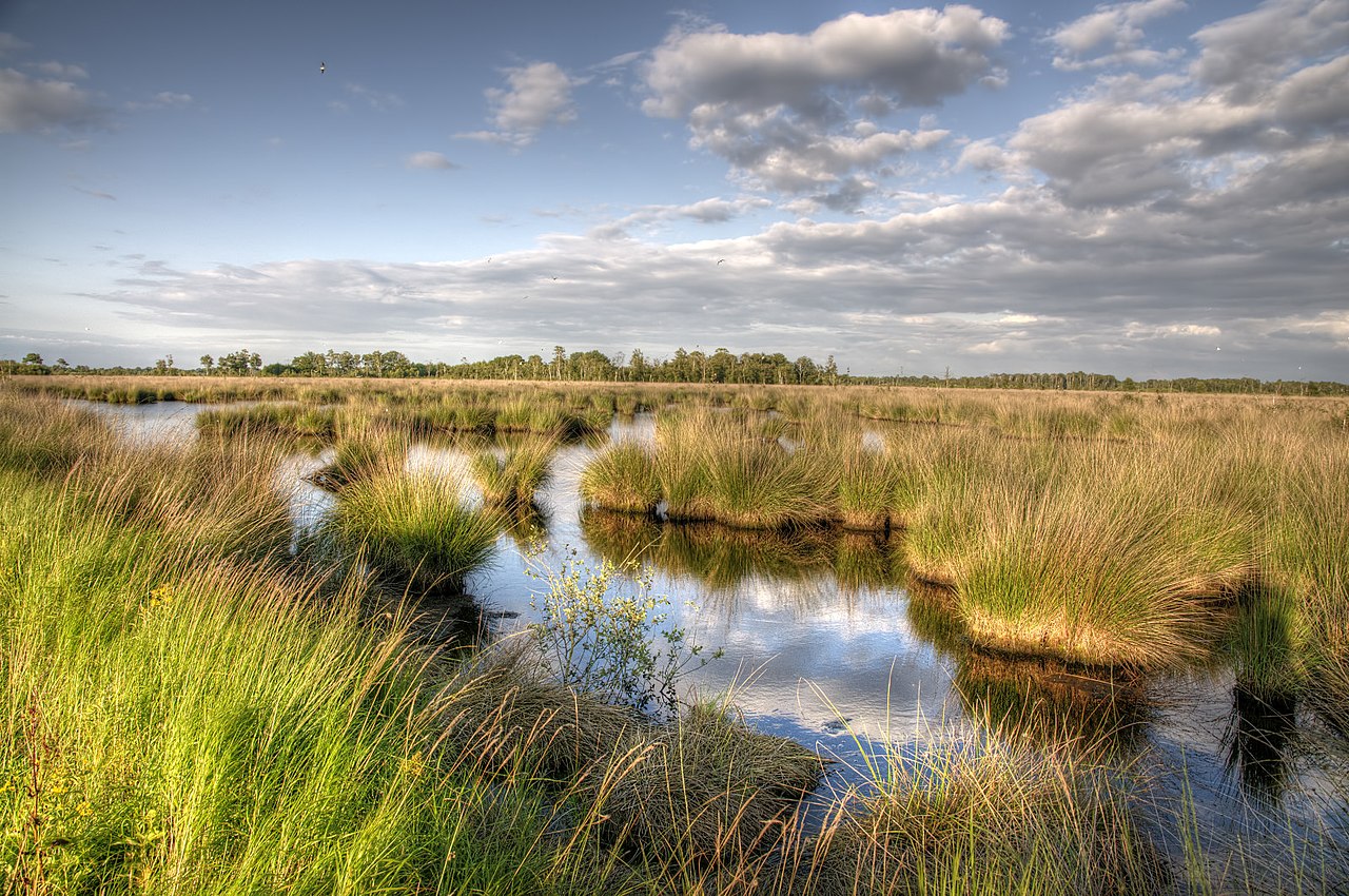 Mariapeel - Sevenum Schatberg · Petranpad etappe 6