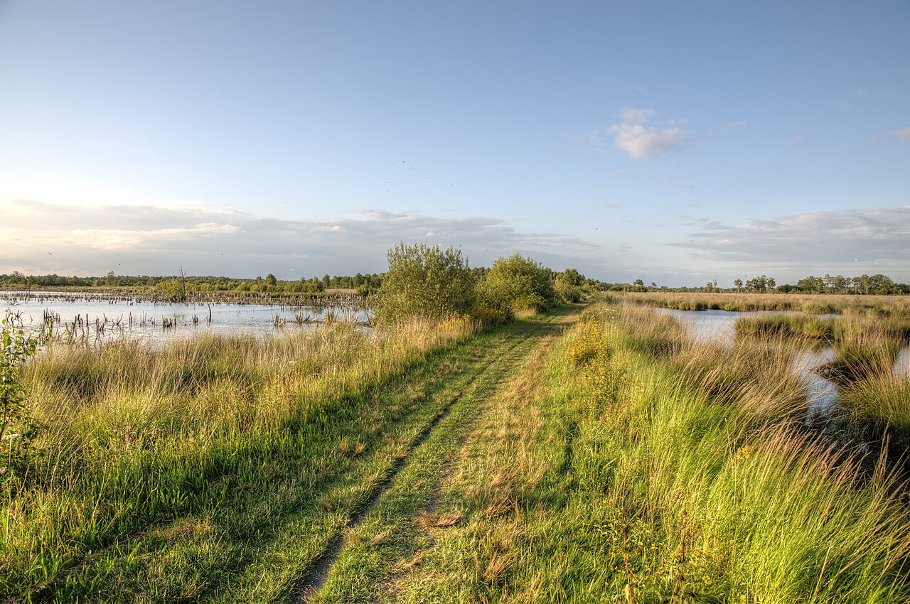 Mariapeel - Sevenum Schatberg · Petranpad etappe 6