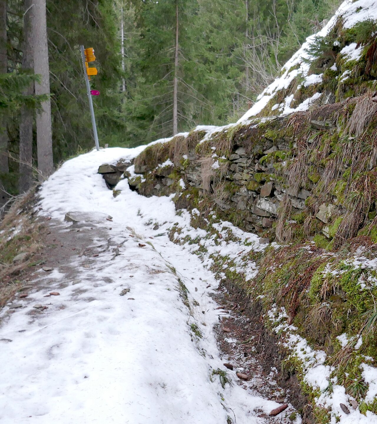 14a-Sentiero dei passi alpini