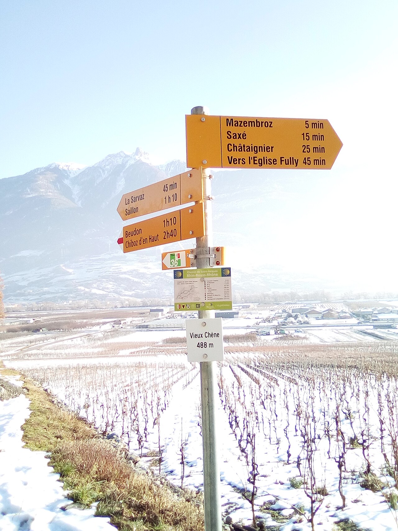 01-Chemin du Vignoble