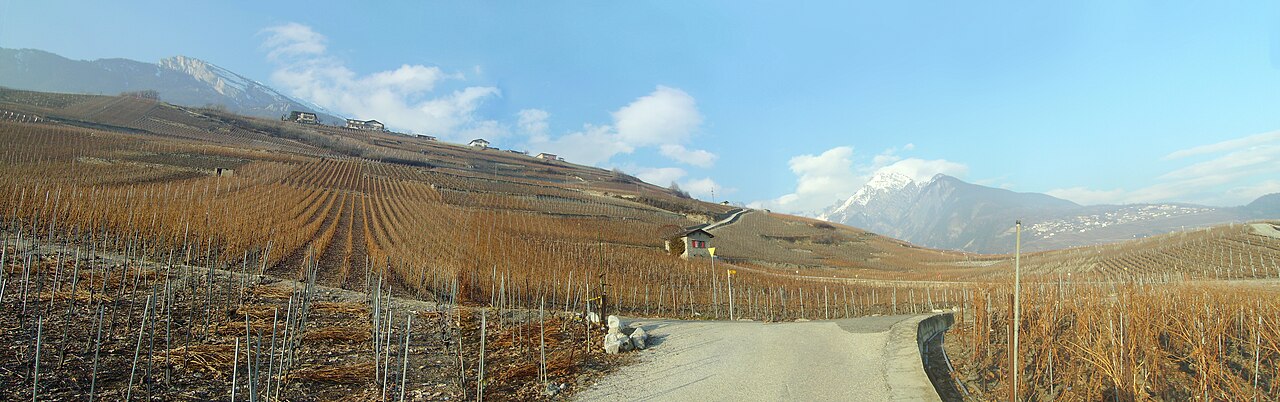 02-Chemin du Vignoble
