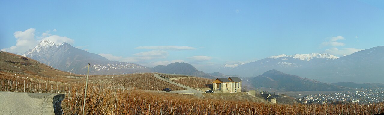 02-Chemin du Vignoble