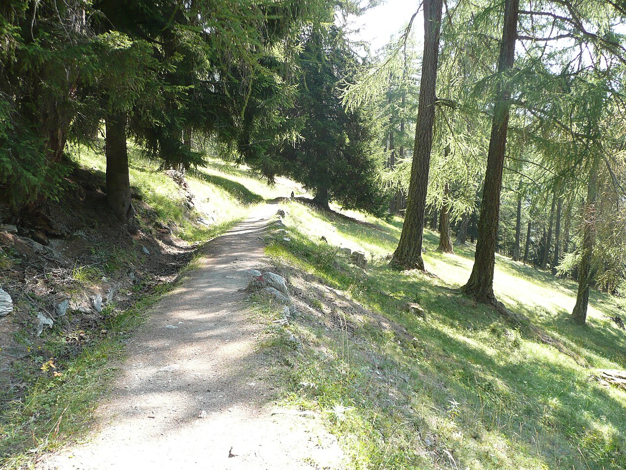 02-Chemin des Bisses