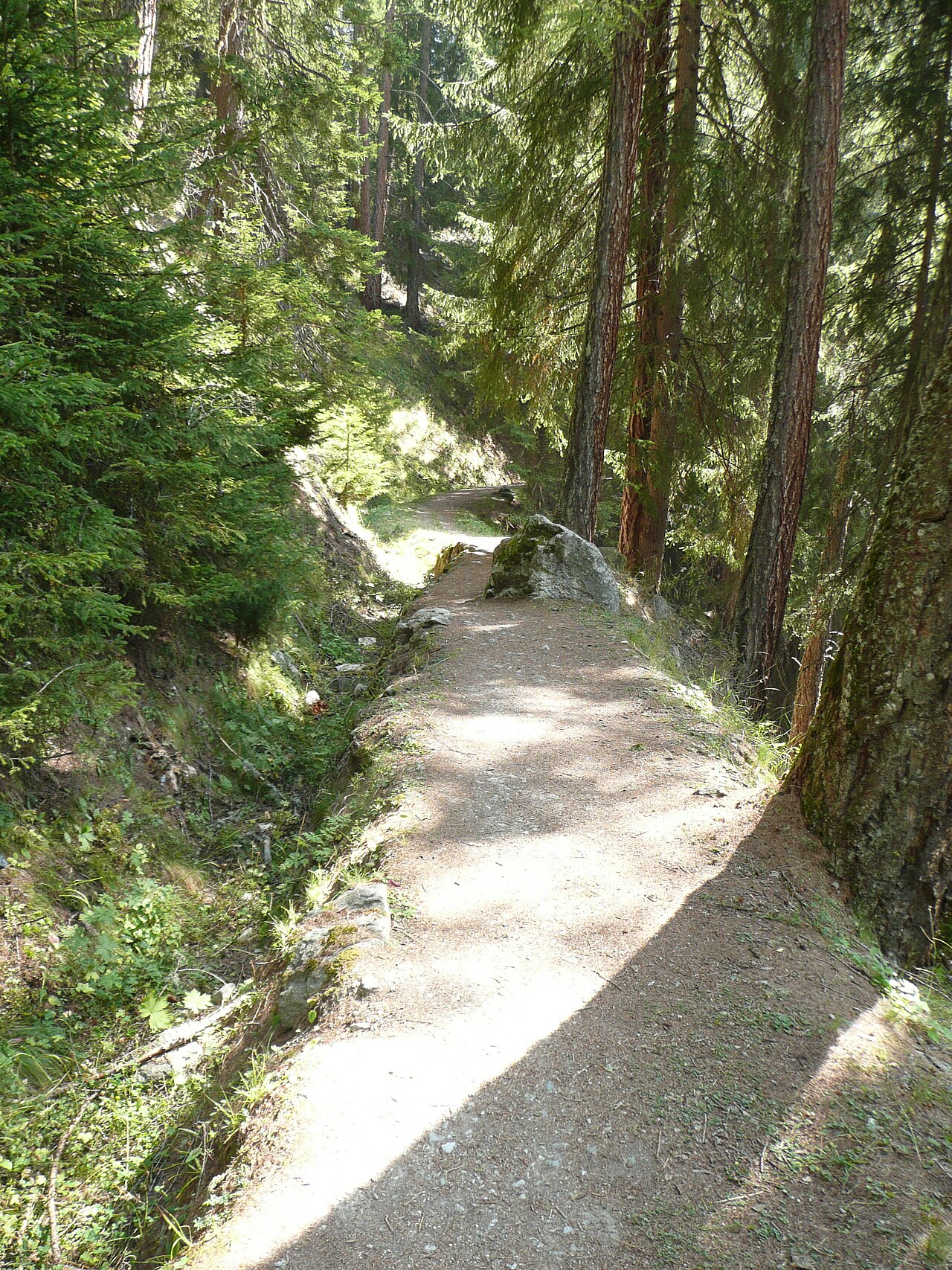 02-Chemin des Bisses