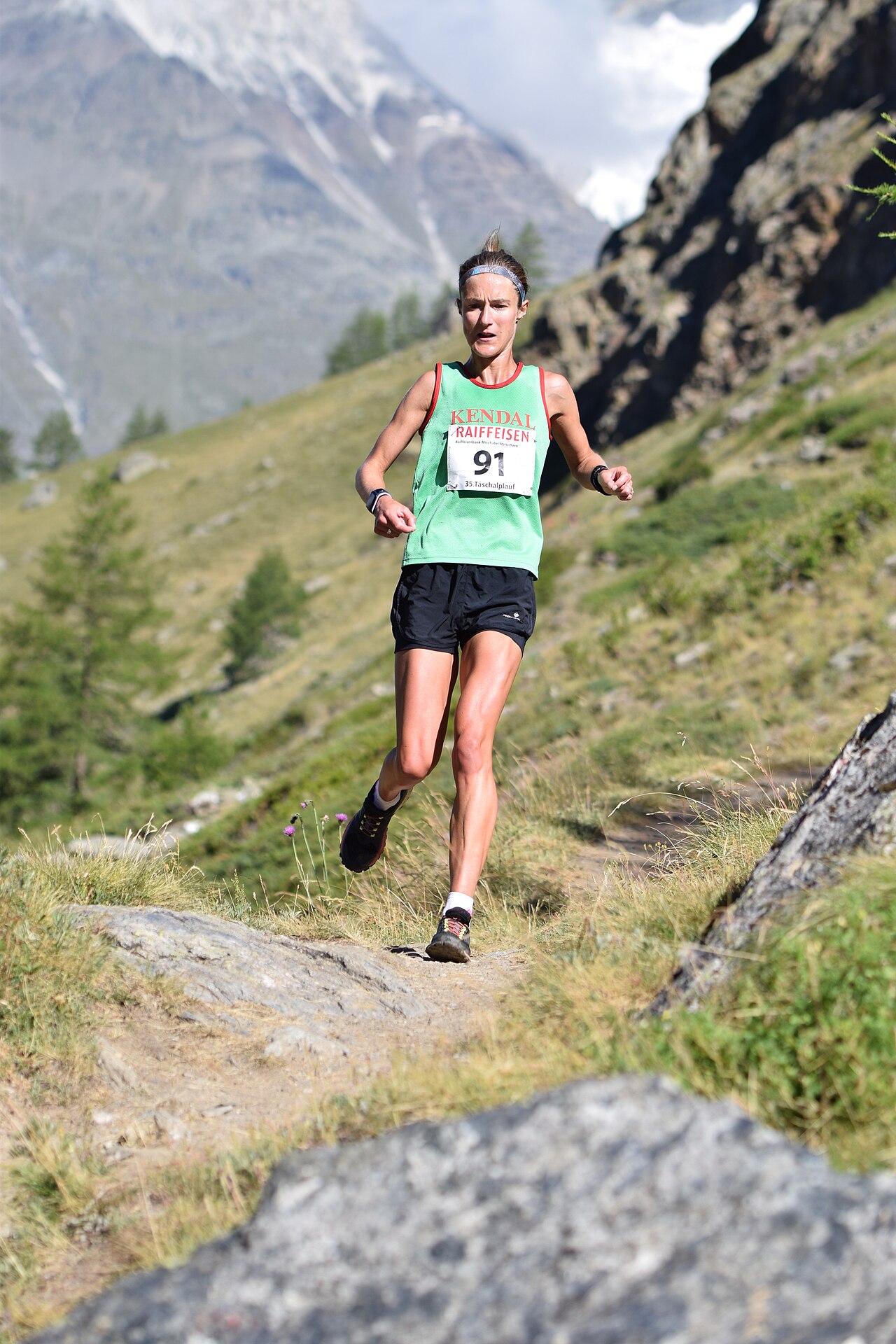 Chamonix-Zermatt Walker's route