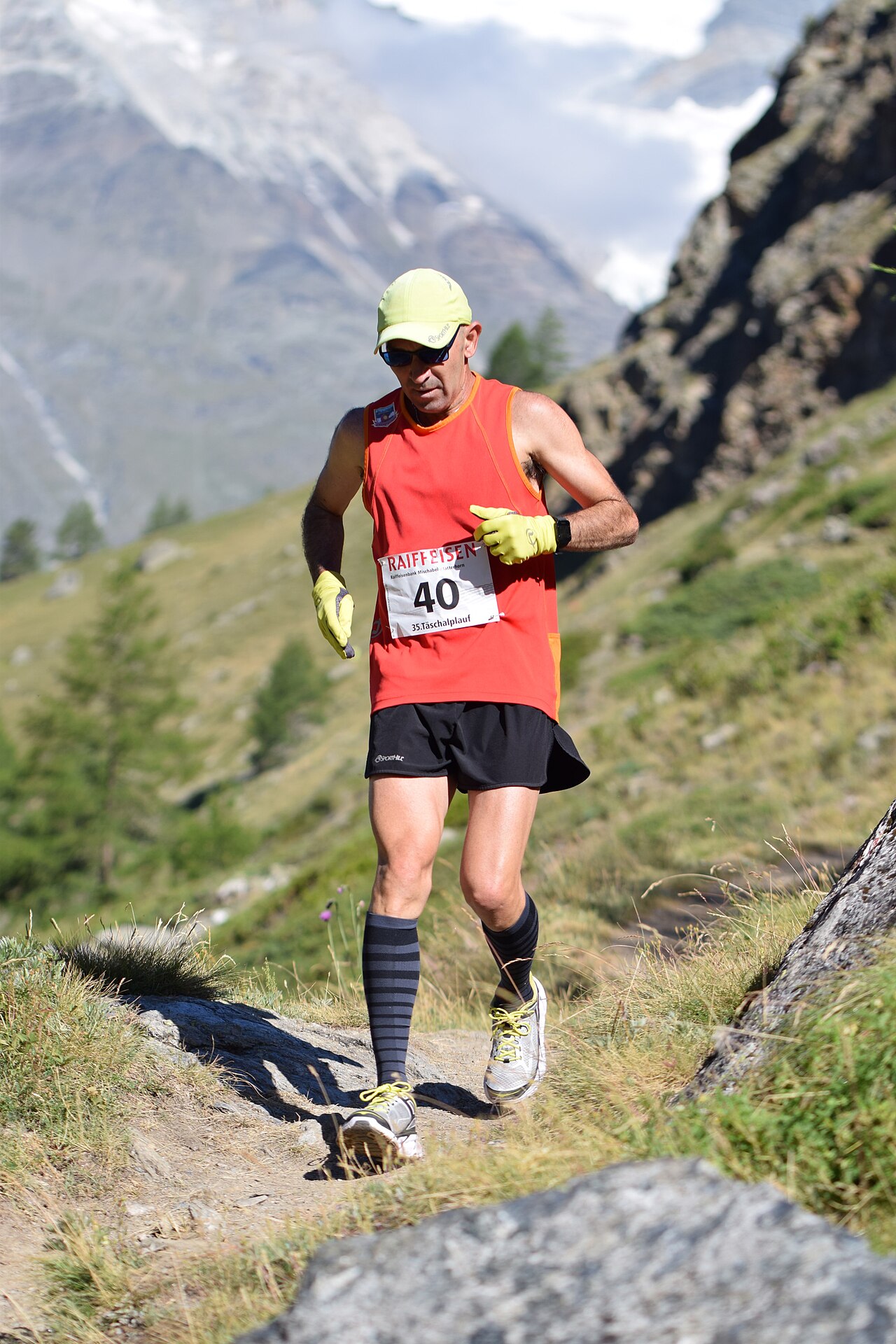 Chamonix-Zermatt Walker's route