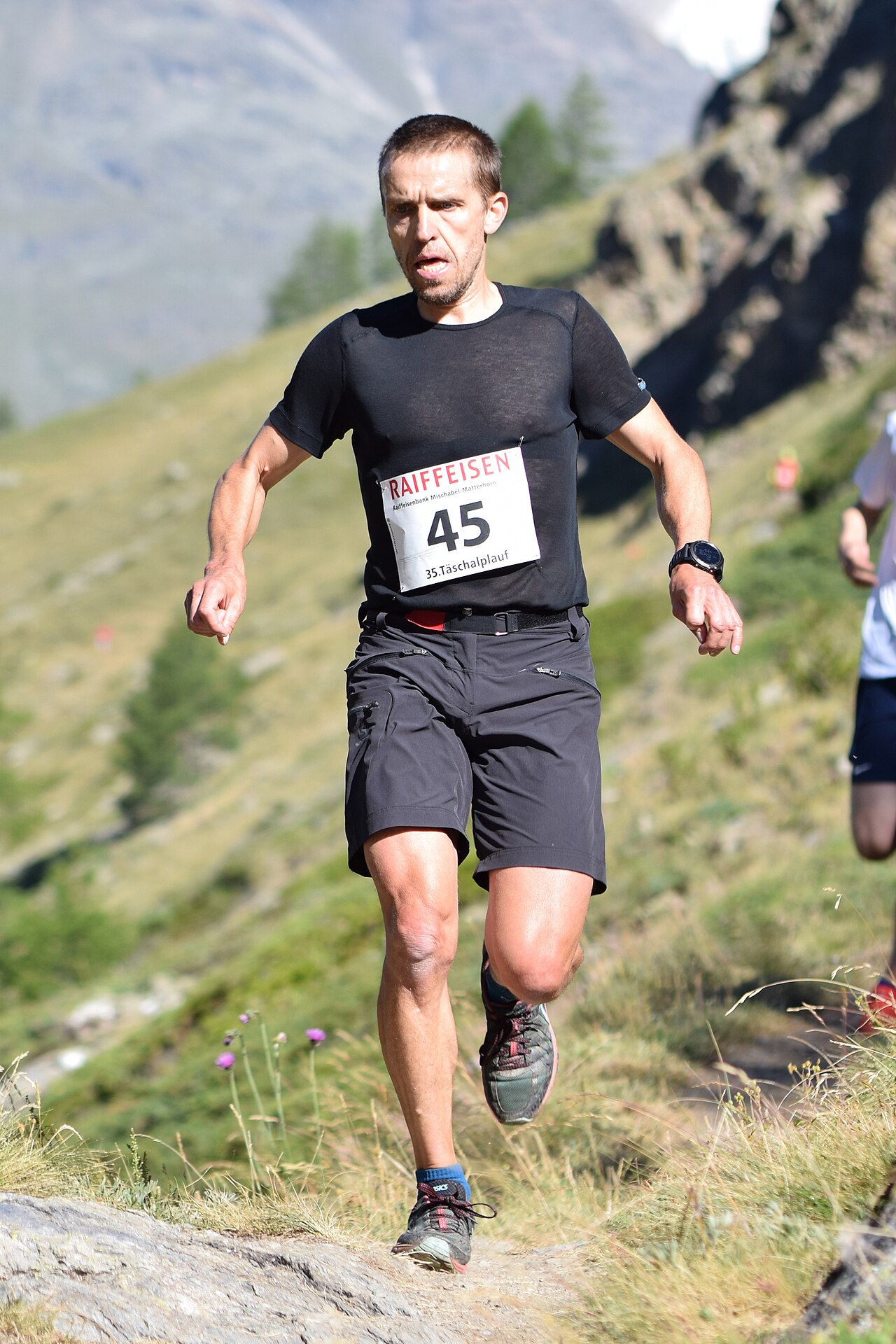 Chamonix-Zermatt Walker's route