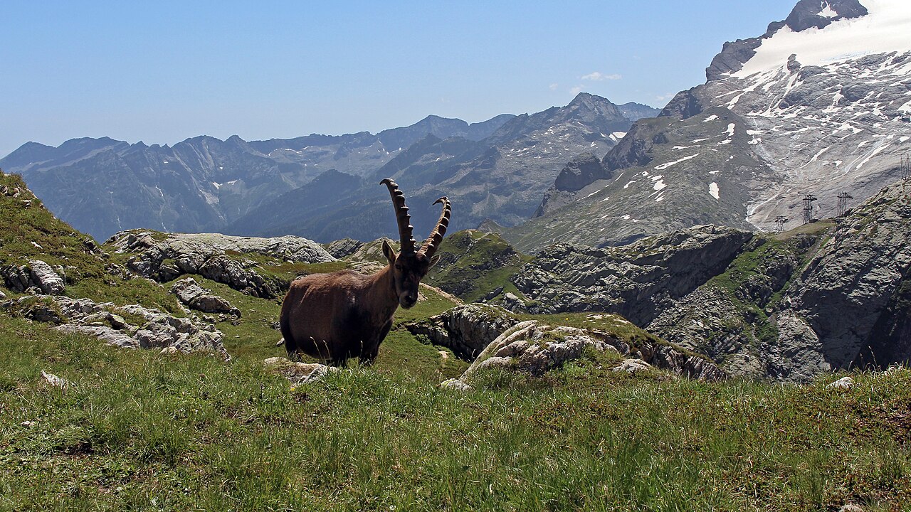 08N - Capanna Cristallina - Rifugio Maria Luisa