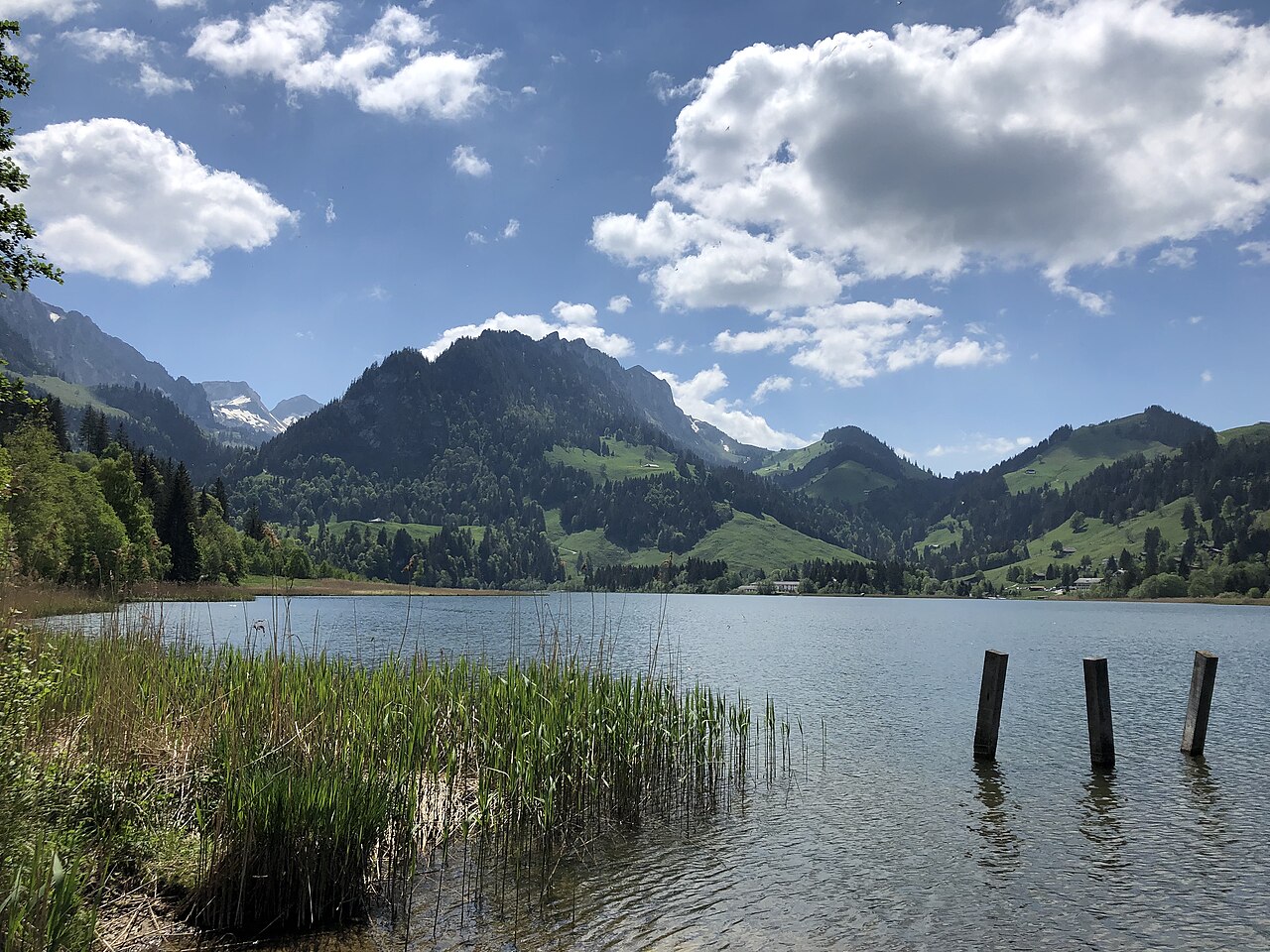 Alpenpanorama-Weg