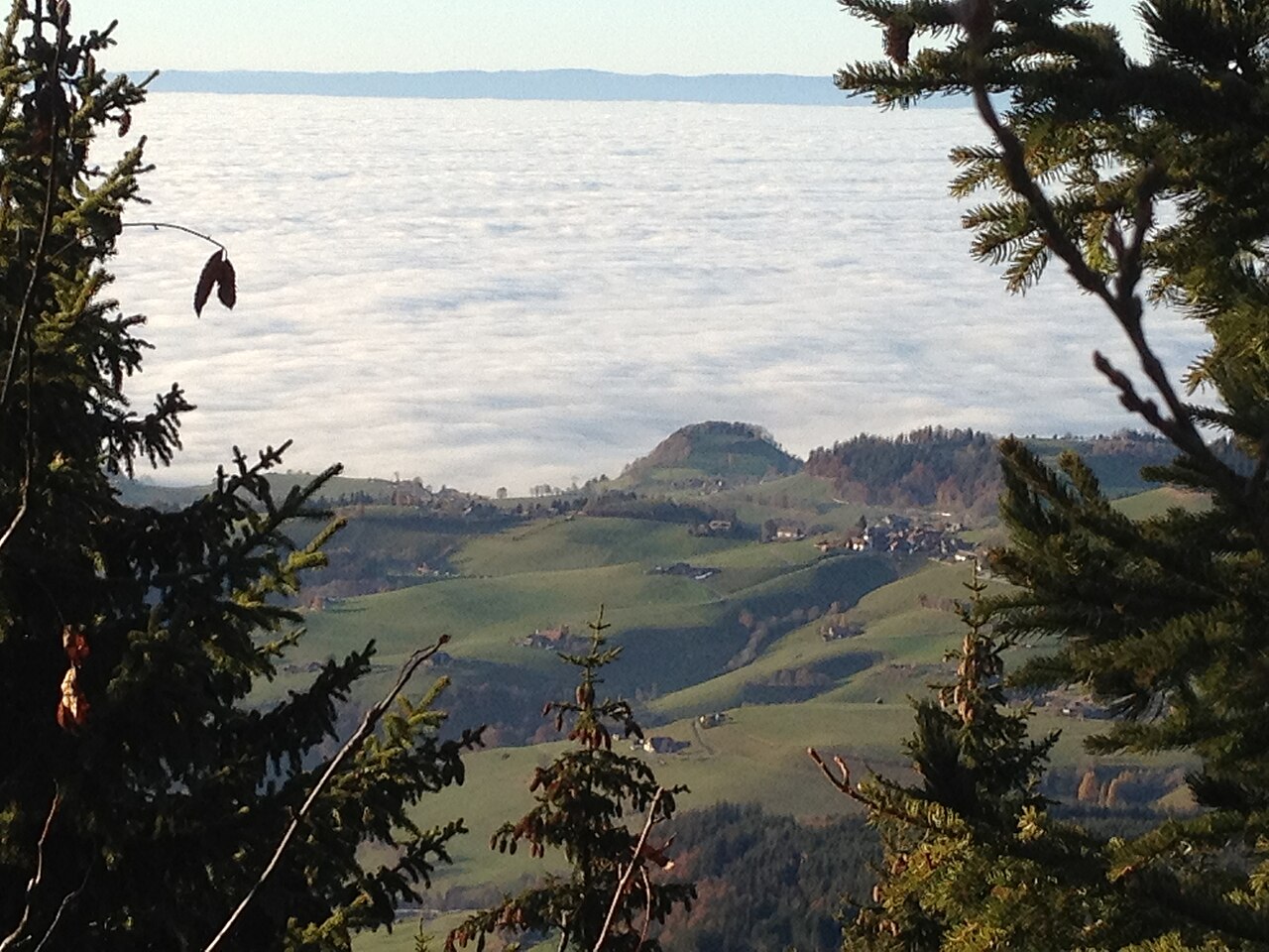 Fribourg