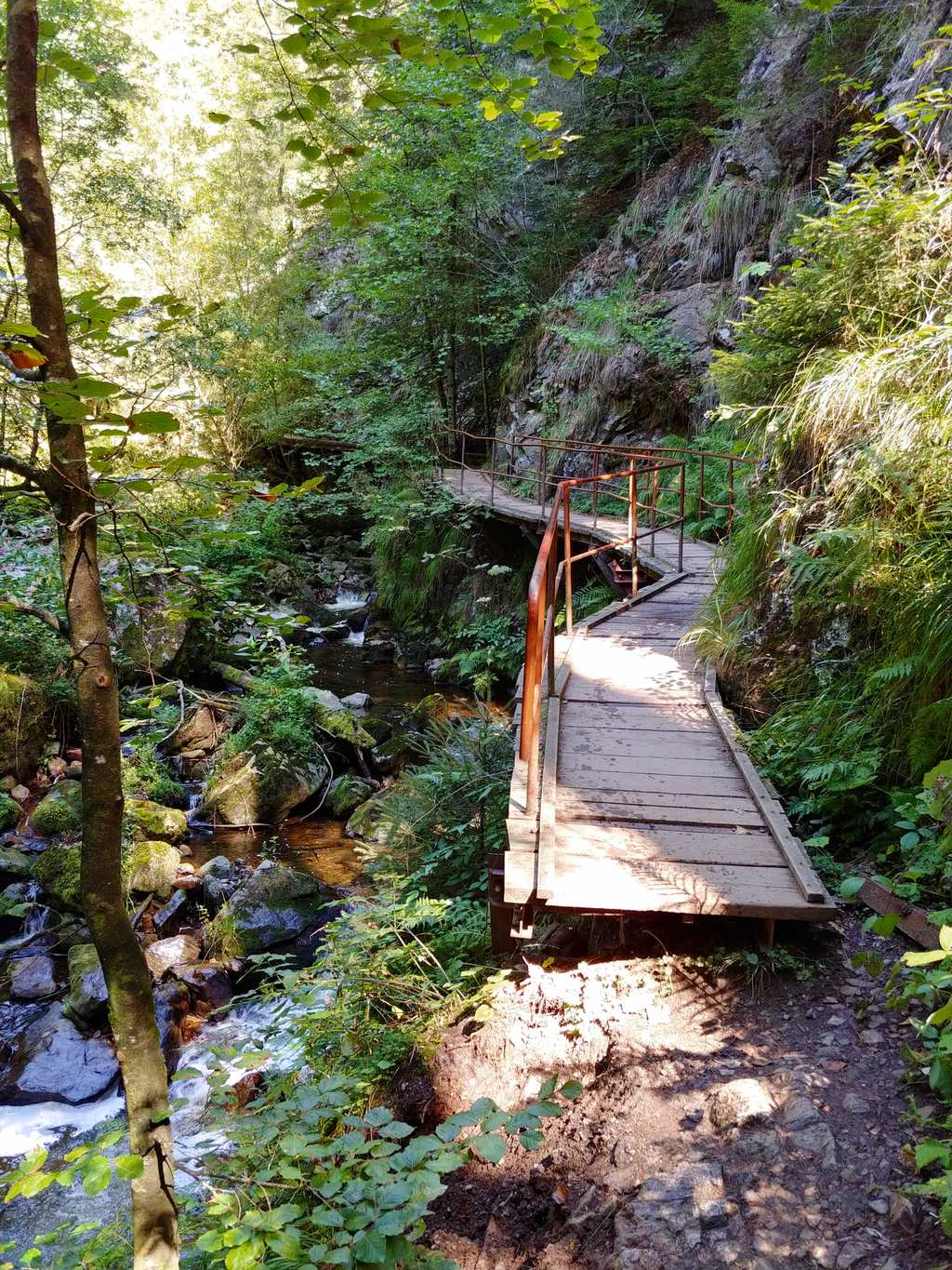 Ravennakloof – Grote Ravenna-waterval rondtocht vanuit VVG der Gemeinde Hinterzarten